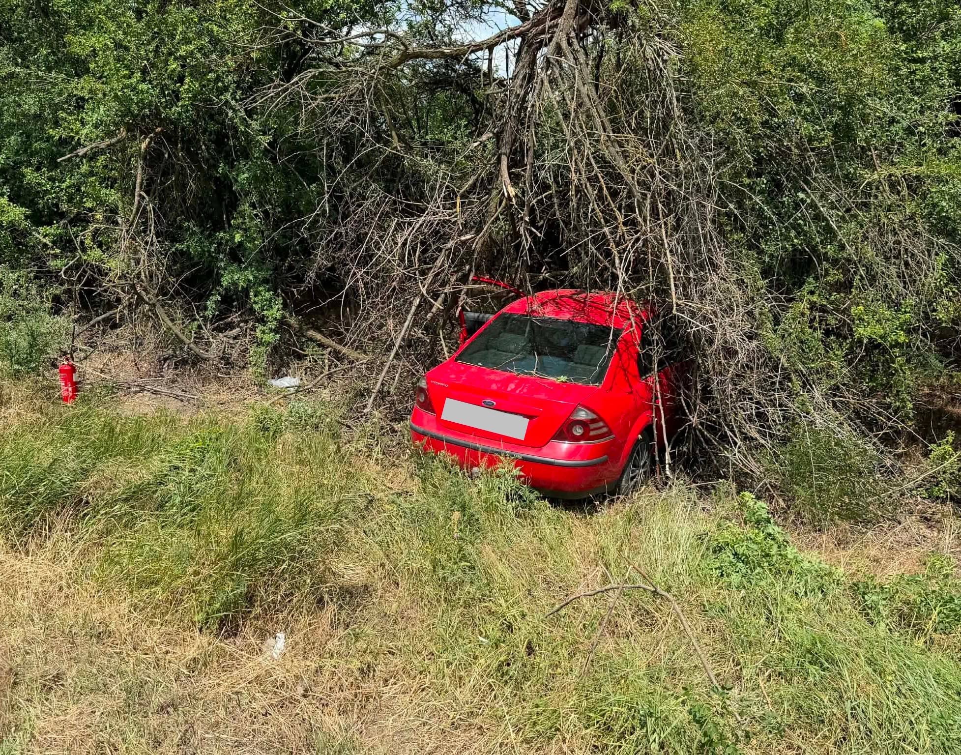724534275_122224826804343461_2144265317006268281_n